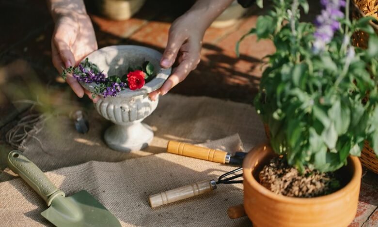 enhance your digital growth