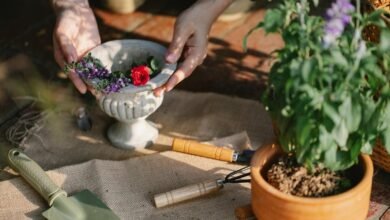 enhance your digital growth